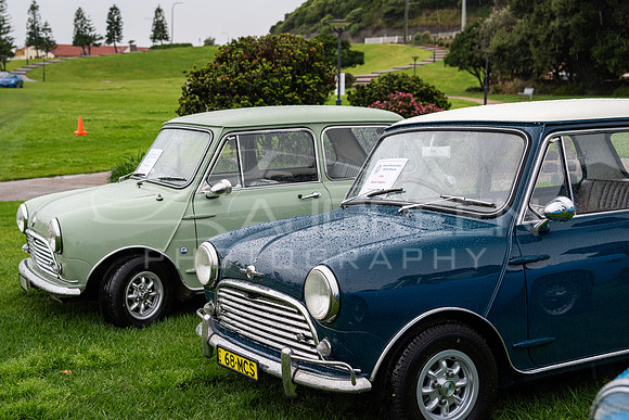 20240825-25446-5000px